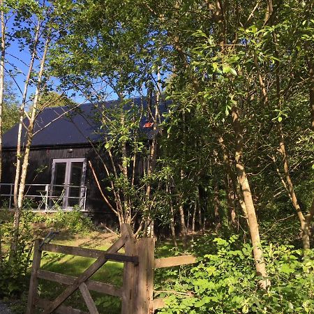 Alder Cabin 킬케니 외부 사진