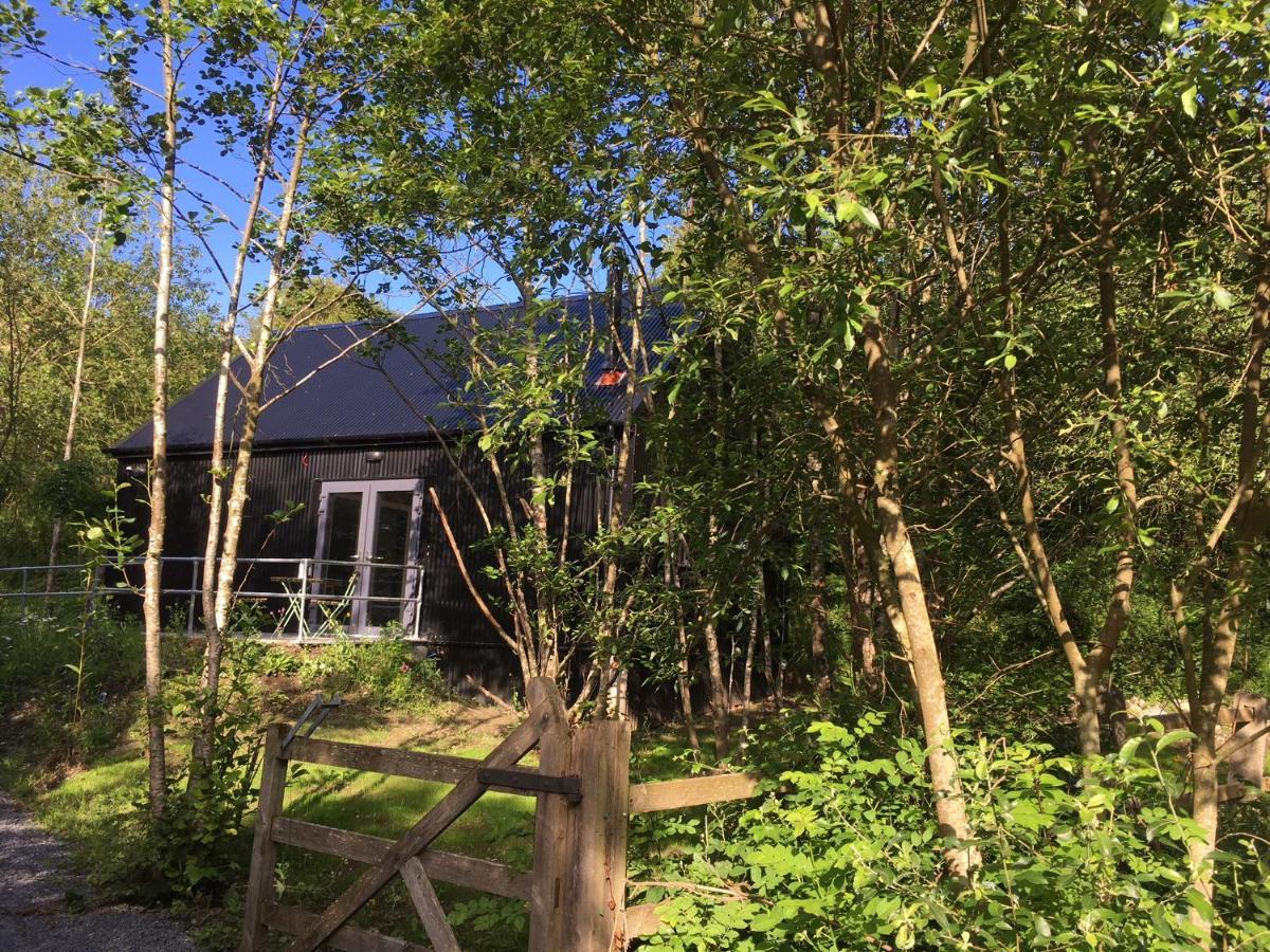 Alder Cabin 킬케니 외부 사진